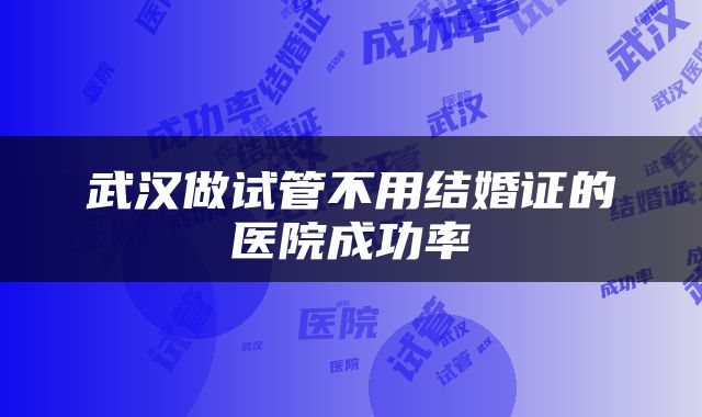 武汉做试管不用结婚证的医院成功率