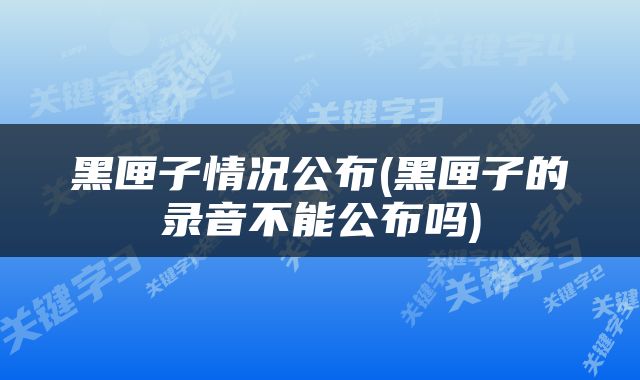 黑匣子情况公布(黑匣子的录音不能公布吗)