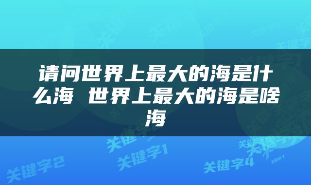 请问世界上最大的海是什么海 世界上最大的海是啥海