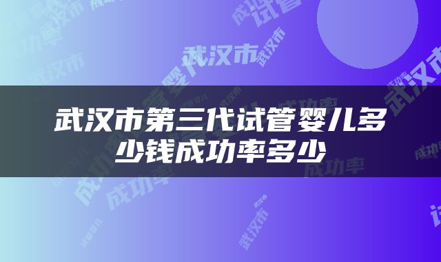 武汉市第三代试管婴儿多少钱成功率多少