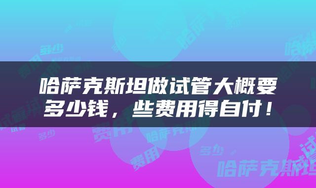 哈萨克斯坦做试管大概要多少钱，些费用得自付！