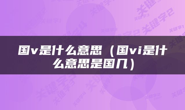 国v是什么意思（国vi是什么意思是国几）