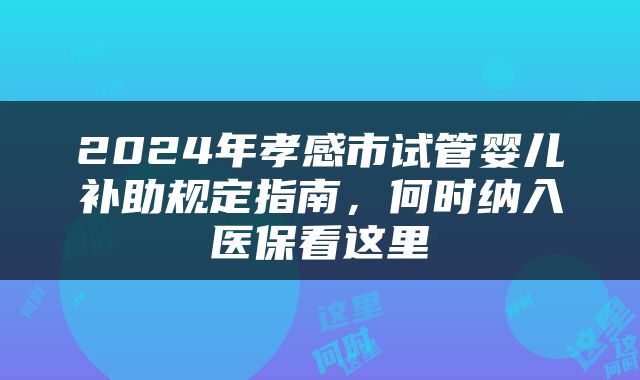 2024年孝感市试管婴儿补助规定指南，何时纳入医保看这里