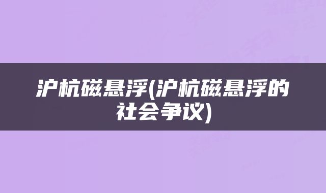 沪杭磁悬浮(沪杭磁悬浮的社会争议)