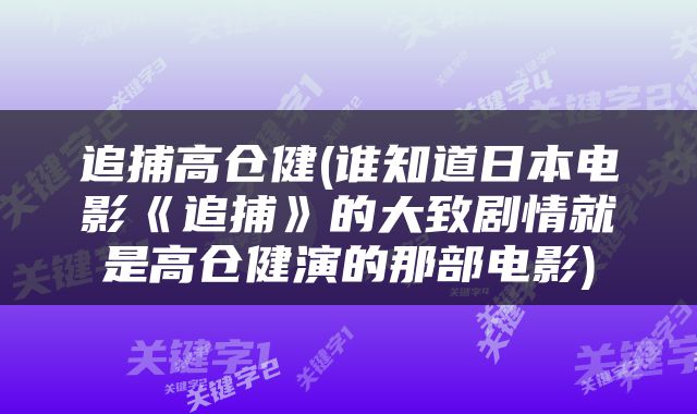追捕高仓健(谁知道日本电影《追捕》的大致剧情就是高仓健演的那部电影)