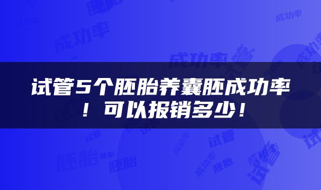试管5个胚胎养囊胚成功率！可以报销多少！
