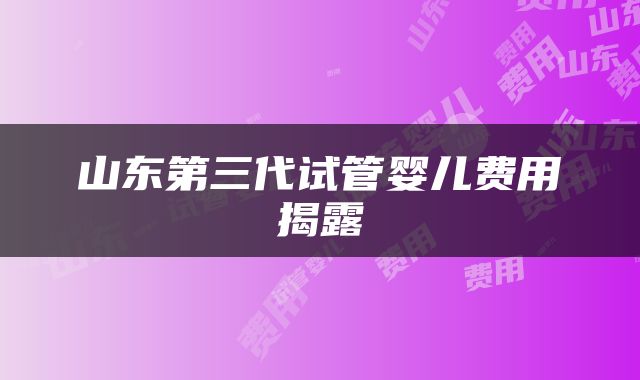 山东第三代试管婴儿费用揭露