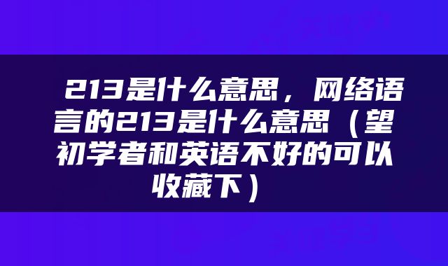  213是什么意思，网络语言的213是什么意思（望初学者和英语不好的可以收藏下） 