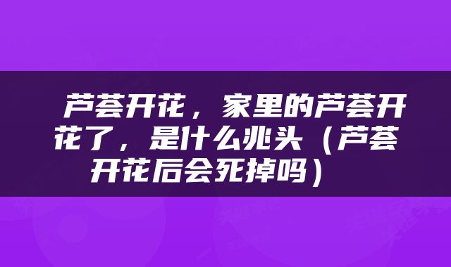  芦荟开花，家里的芦荟开花了，是什么兆头（芦荟开花后会死掉吗） 
