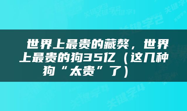  世界上最贵的藏獒，世界上最贵的狗35亿（这几种狗“太贵”了） 