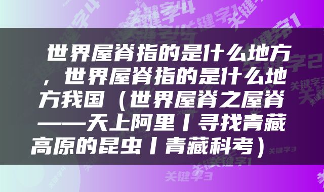  世界屋脊指的是什么地方，世界屋脊指的是什么地方我国（世界屋脊之屋脊——天上阿里丨寻找青藏高原的昆虫丨青藏科考） 