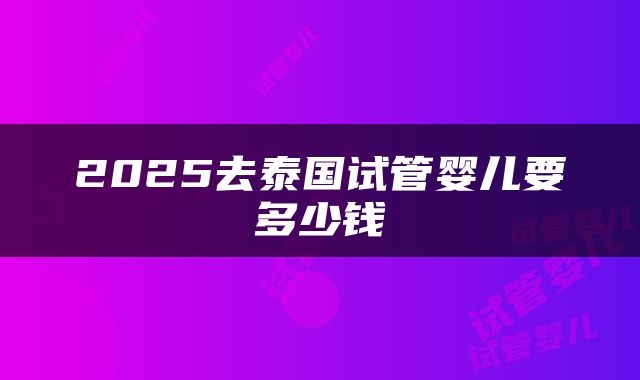 2025去泰国试管婴儿要多少钱