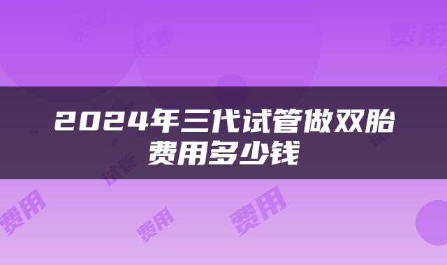 2024年三代试管做双胎费用多少钱