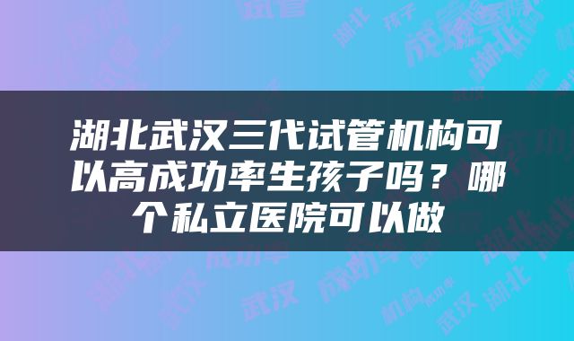 湖北武汉三代试管机构可以高成功率生孩子吗？哪个私立医院可以做