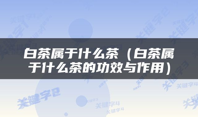 白茶属于什么茶（白茶属于什么茶的功效与作用）