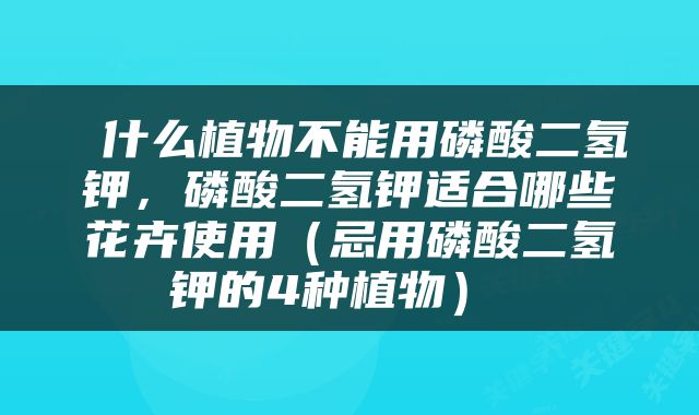  什么植物不能用磷酸二氢钾，磷酸二氢钾适合哪些花卉使用（忌用磷酸二氢钾的4种植物） 