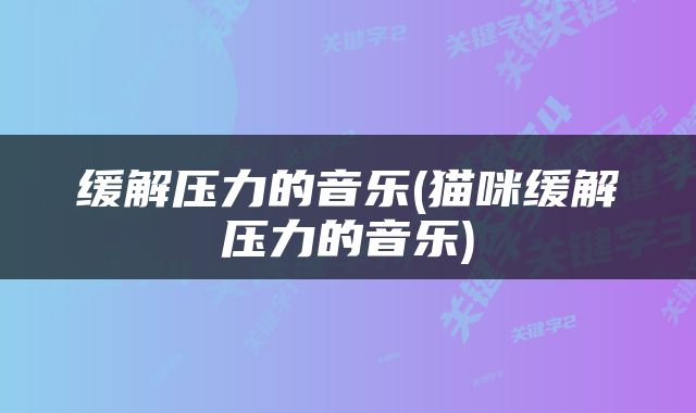 缓解压力的音乐(猫咪缓解压力的音乐)