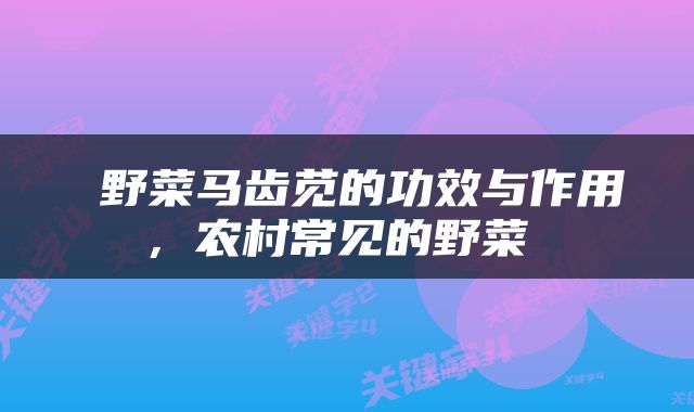  野菜马齿苋的功效与作用，农村常见的野菜 