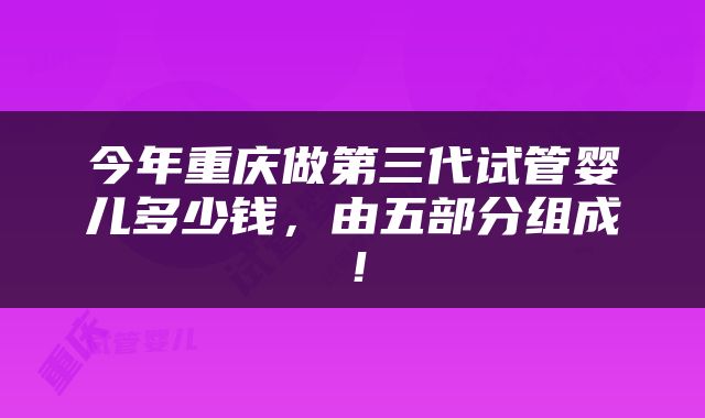 今年重庆做第三代试管婴儿多少钱，由五部分组成！