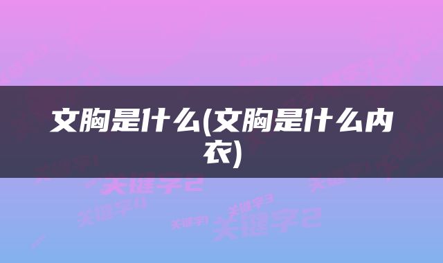 文胸是什么(文胸是什么内衣)