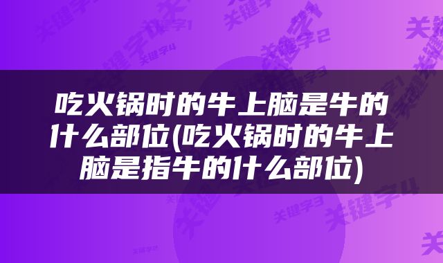 吃火锅时的牛上脑是牛的什么部位(吃火锅时的牛上脑是指牛的什么部位)