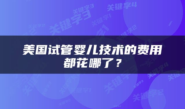 美国试管婴儿技术的费用都花哪了？