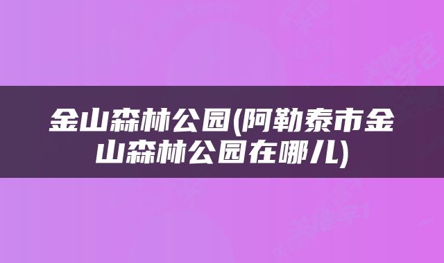 金山森林公园(阿勒泰市金山森林公园在哪儿)