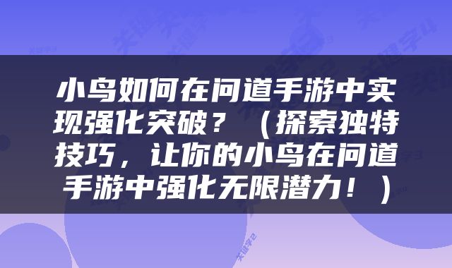 小鸟如何在问道手游中实现强化突破？（探索独特技巧，让你的小鸟在问道手游中强化无限潜力！）