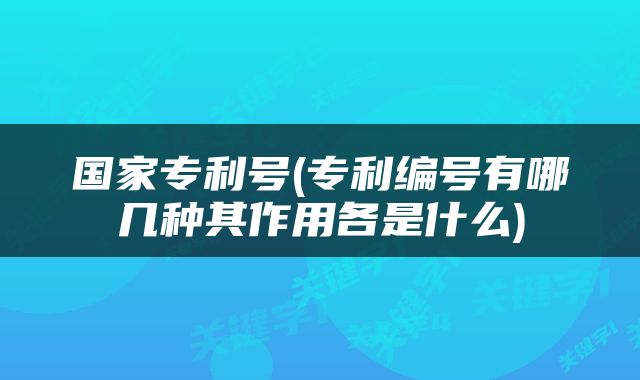 国家专利号(专利编号有哪几种其作用各是什么)