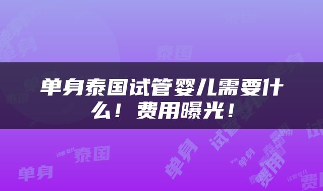 单身泰国试管婴儿需要什么！费用曝光！