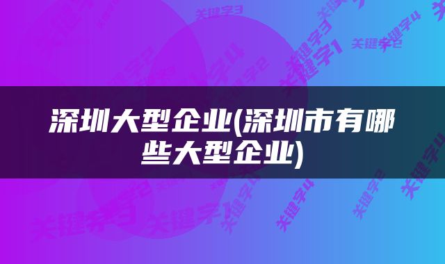深圳大型企业(深圳市有哪些大型企业)