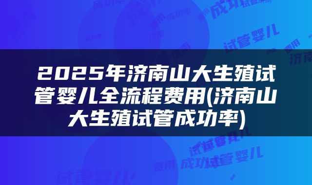 2025年济南山大生殖试管婴儿全流程费用(济南山大生殖试管成功率)