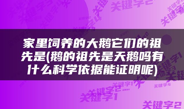 家里饲养的大鹅它们的祖先是(鹅的祖先是天鹅吗有什么科学依据能证明呢)
