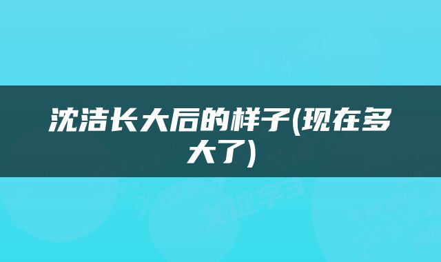 沈洁长大后的样子(现在多大了)
