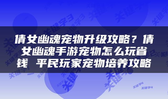 倩女幽魂宠物升级攻略？倩女幽魂手游宠物怎么玩省钱 平民玩家宠物培养攻略