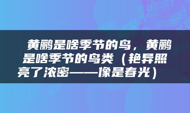  黄鹂是啥季节的鸟，黄鹂是啥季节的鸟类（艳异照亮了浓密——像是春光） 