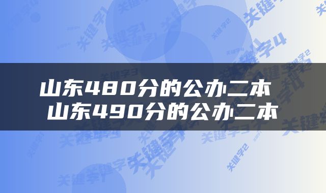 山东480分的公办二本 山东490分的公办二本