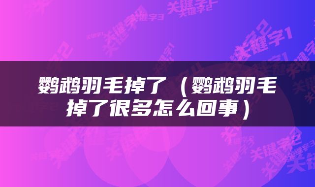 鹦鹉羽毛掉了（鹦鹉羽毛掉了很多怎么回事）