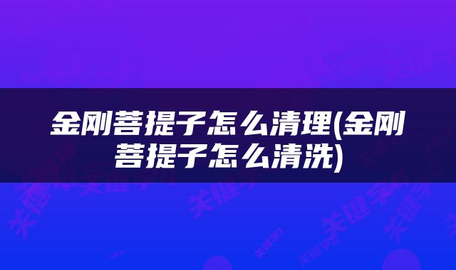 金刚菩提子怎么清理(金刚菩提子怎么清洗)