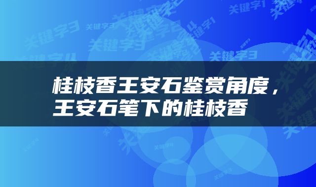  桂枝香王安石鉴赏角度，王安石笔下的桂枝香 