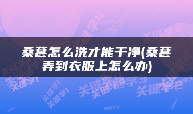 桑葚怎么洗才能干净(桑葚弄到衣服上怎么办)