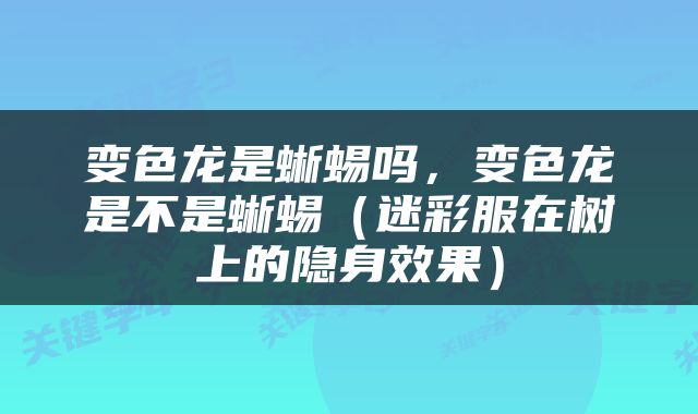 变色龙是蜥蜴吗，变色龙是不是蜥蜴（迷彩服在树上的隐身效果）