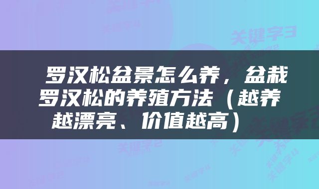  罗汉松盆景怎么养，盆栽罗汉松的养殖方法（越养越漂亮、价值越高） 