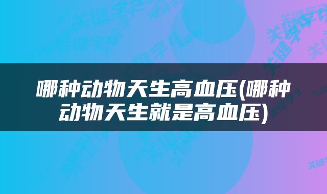 哪种动物天生高血压(哪种动物天生就是高血压)