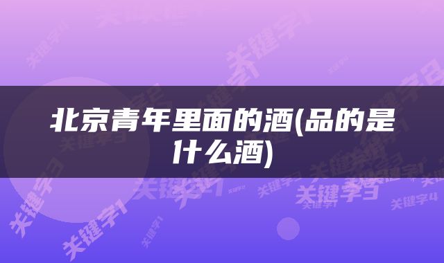 北京青年里面的酒(品的是什么酒)