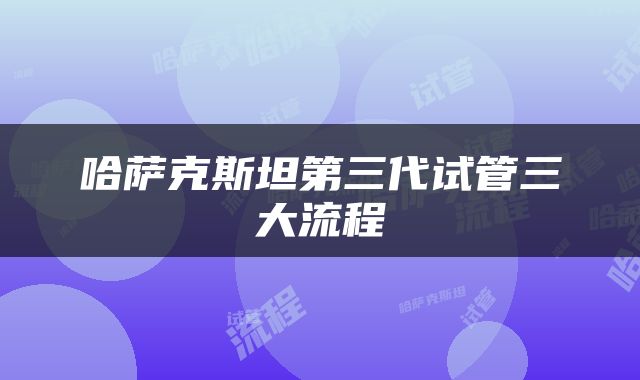 哈萨克斯坦第三代试管三大流程