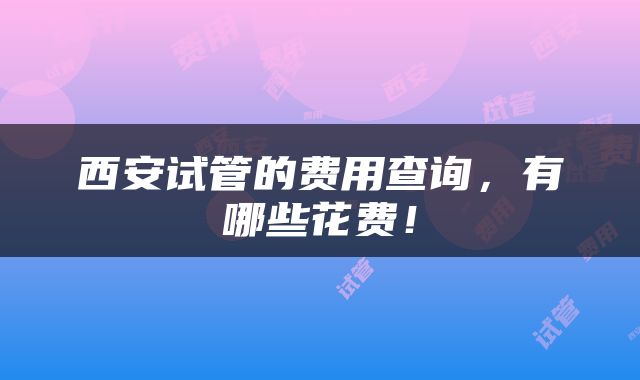 西安试管的费用查询，有哪些花费！