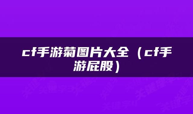 cf手游菊图片大全（cf手游屁股）