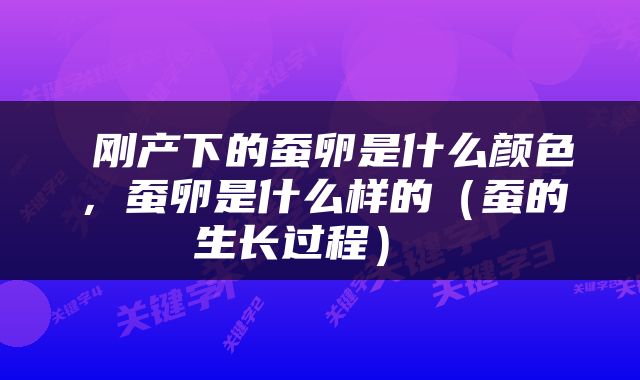  刚产下的蚕卵是什么颜色，蚕卵是什么样的（蚕的生长过程） 