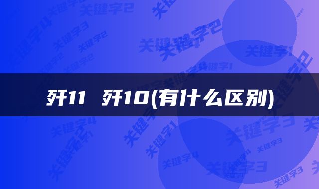 歼11 歼10(有什么区别)